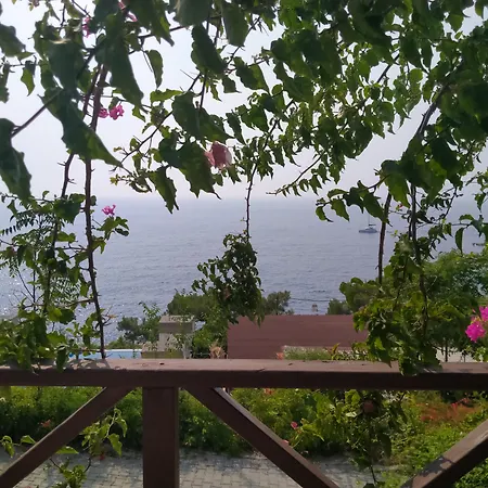 Zakros Lykia (adults Only) 3* ファラリア